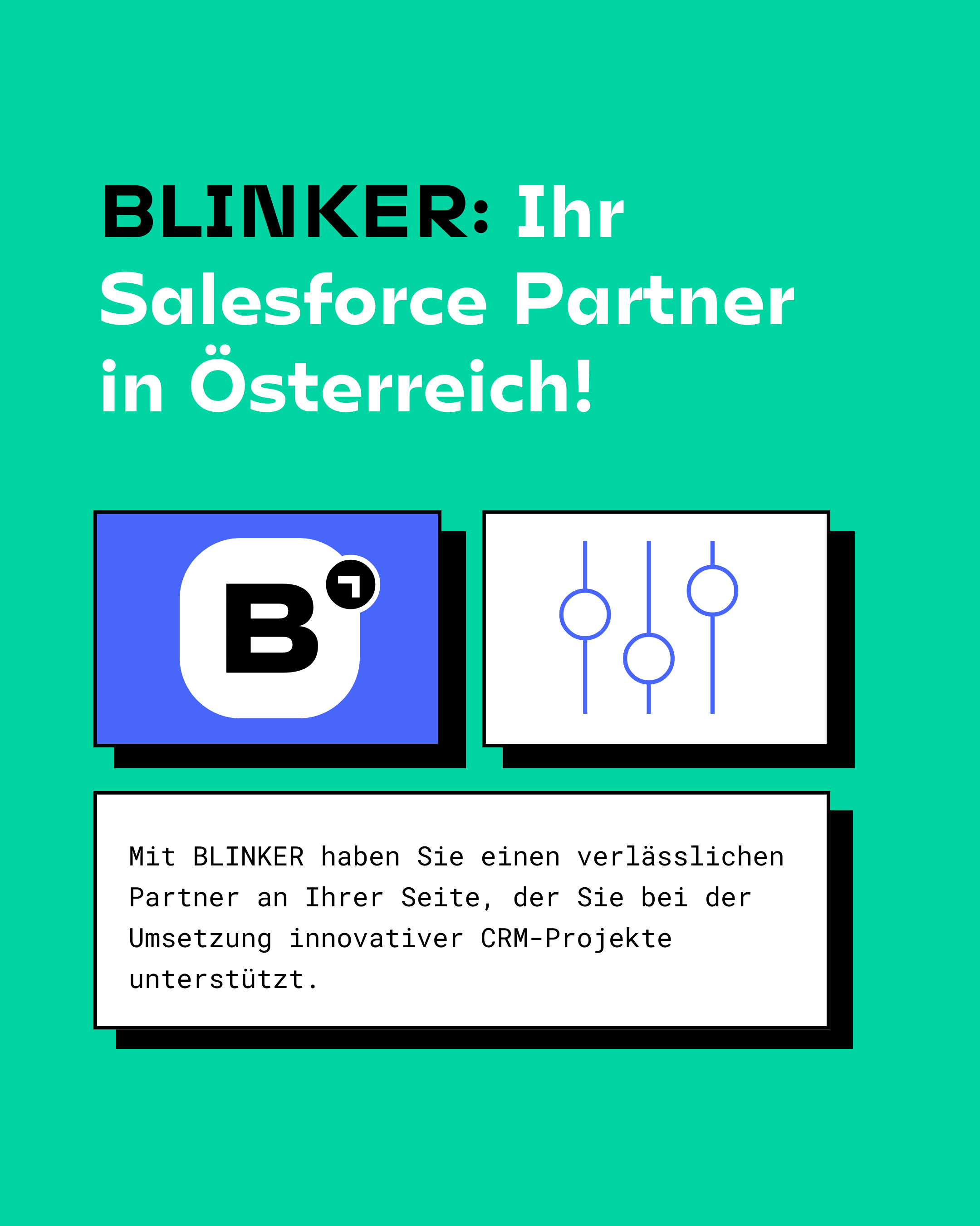 BLINKER Salesforce Partner Österreich